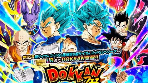 dokkan card simulator.